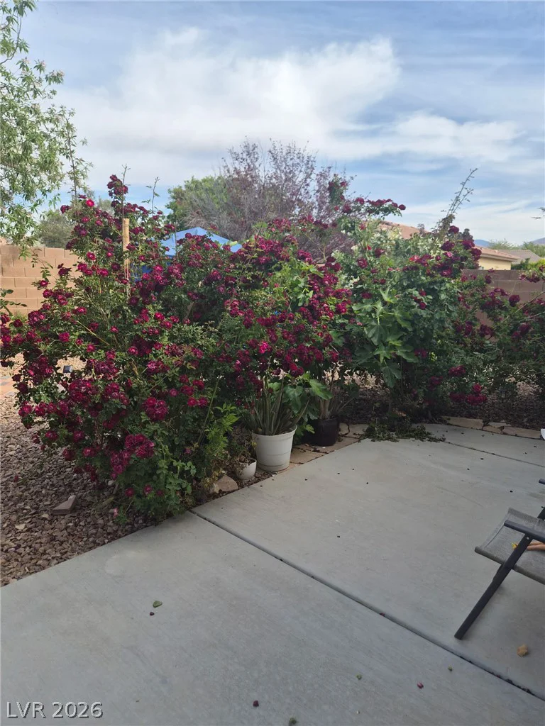 4724 Adriano, Pahrump, NV 89061