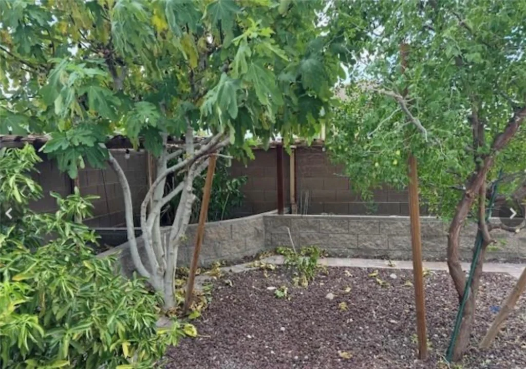 1630 Harvest Pecan, Las Vegas, NV 89108