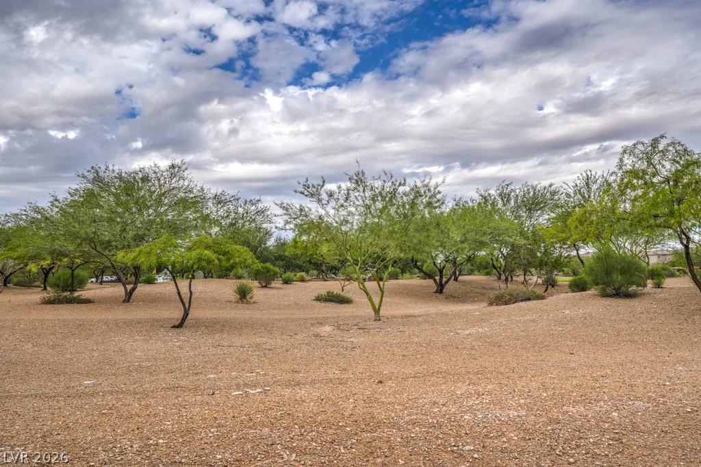 8684 Rowland Bluff, Las Vegas, NV 89178