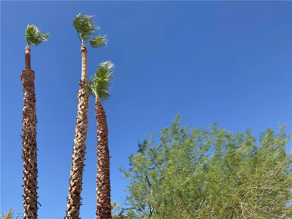 417 Cherry Meadows, Las Vegas, NV 89145