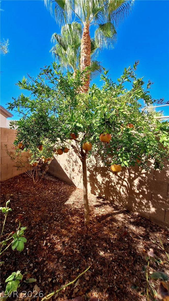 333 CART CROSSING, Las Vegas, NV 89148