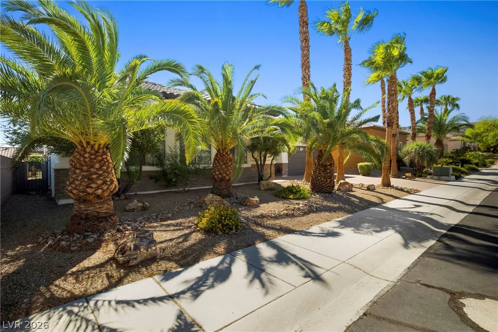 246 Calle Palacio, Henderson, NV 89012