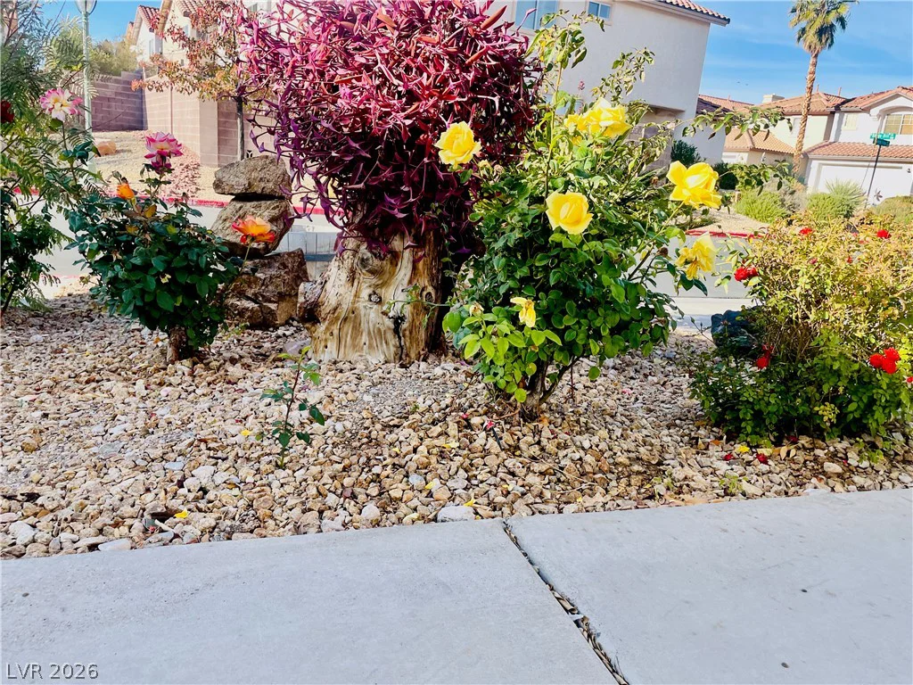 9224 Canalino, Las Vegas, NV 89134