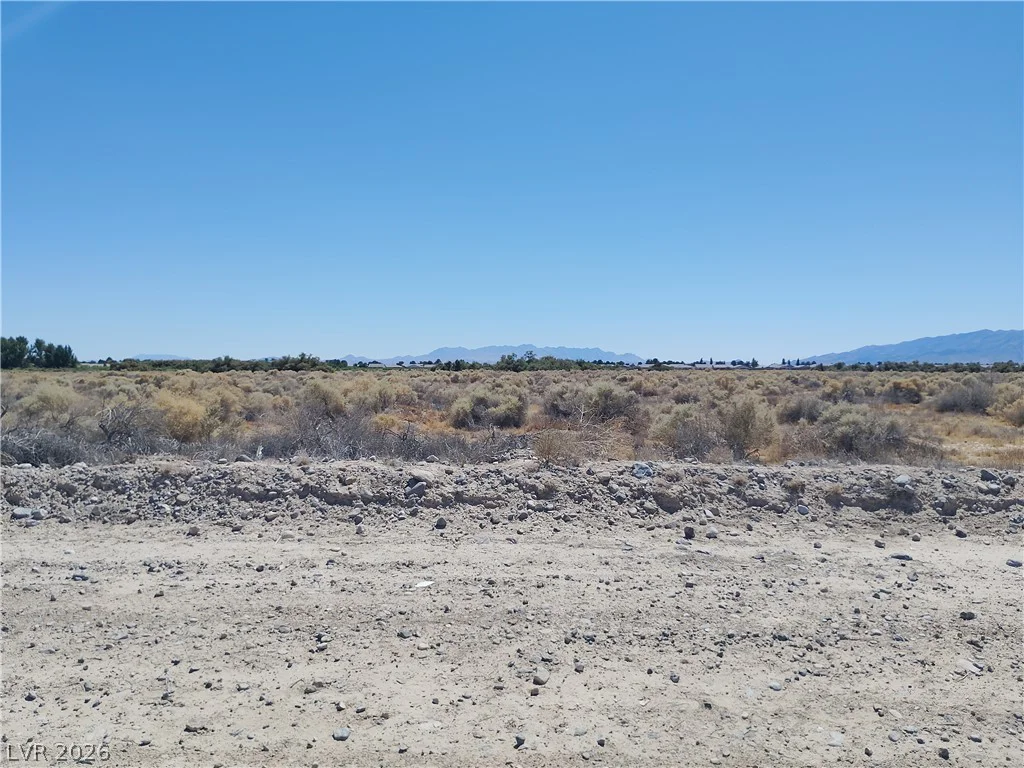 4471 Gamebird, Pahrump, NV 89061