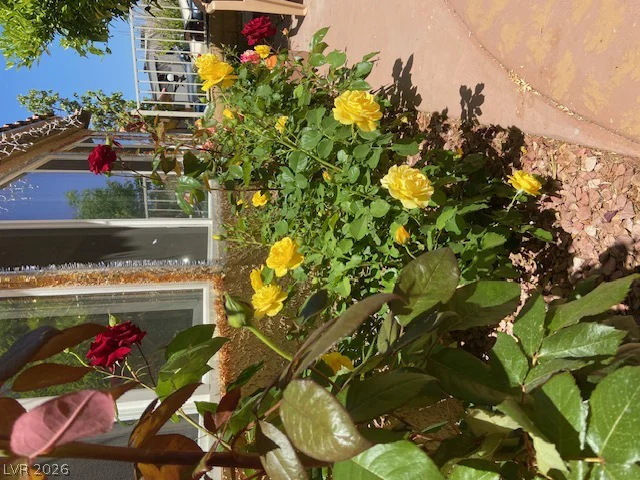 3877 Platis, Las Vegas, NV 89103