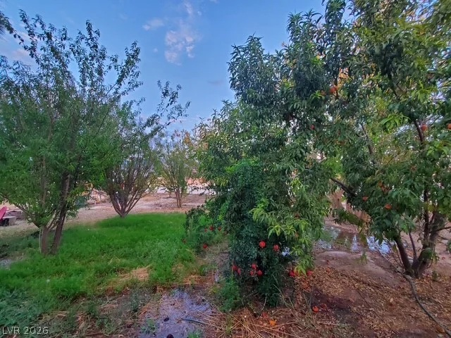 980 Leffner, Pahrump, NV 89060