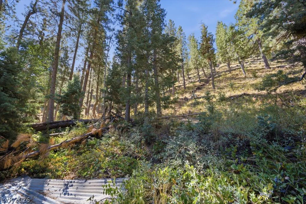 4501 Aspen, Mount Charleston, NV 89124