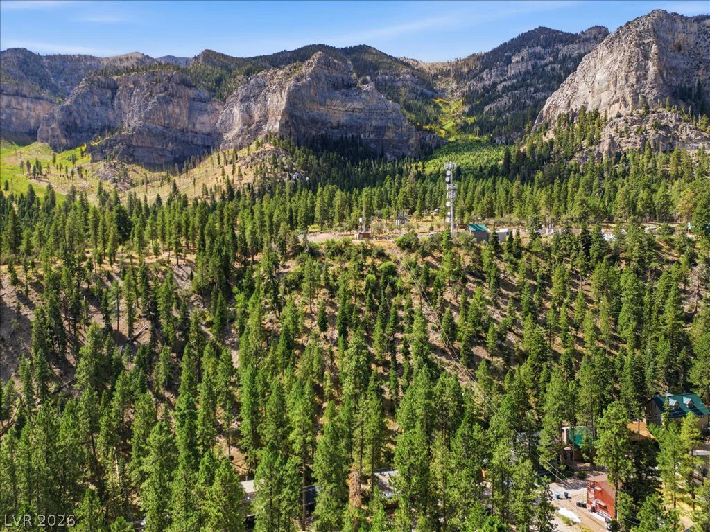 4501 Aspen, Mount Charleston, NV 89124