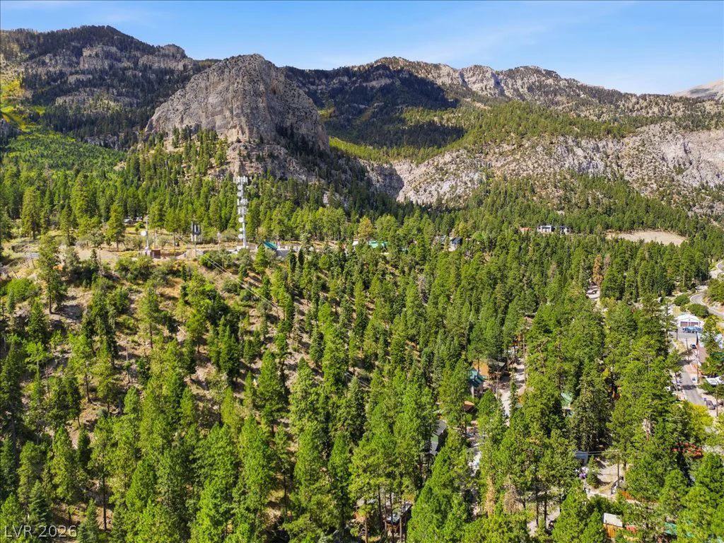 4501 Aspen, Mount Charleston, NV 89124