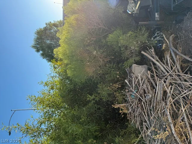 1512 Patrick, Henderson, NV 89014
