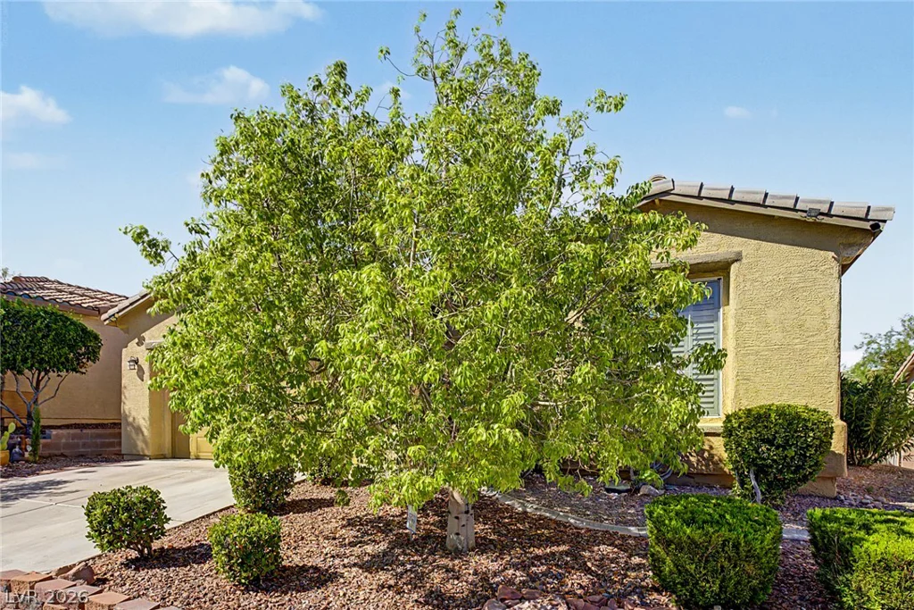 10512 Courtney Cove, Las Vegas, NV 89144