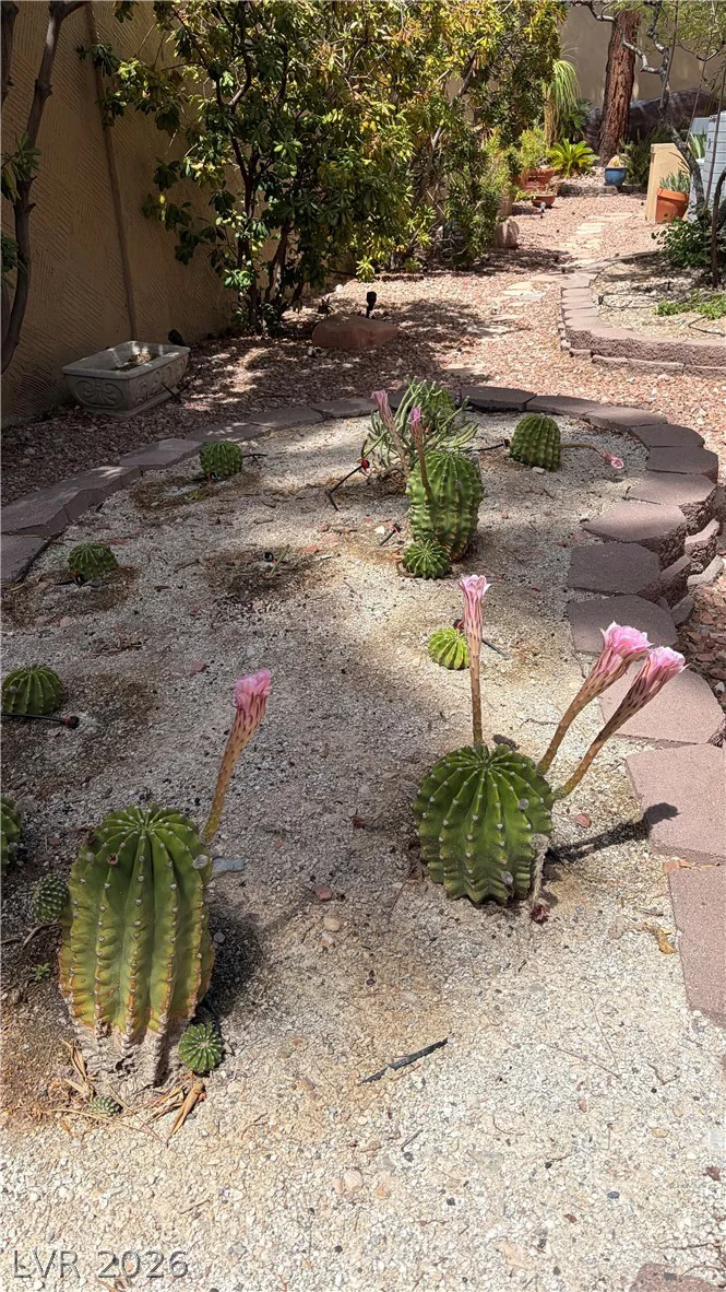 9716 Cameo Rose, Las Vegas, NV 89134