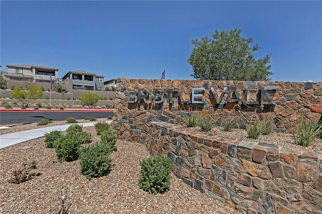 325 Black Turnstone, Las Vegas, NV 89138