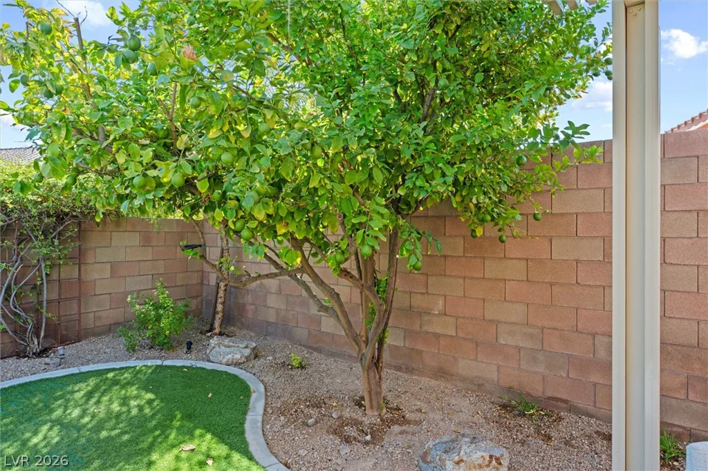 1060 Via Nandina, Henderson, NV 89011