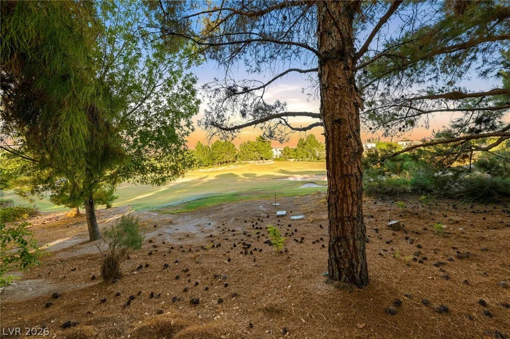 12056 Royal Dolnoch, Las Vegas, NV 89141