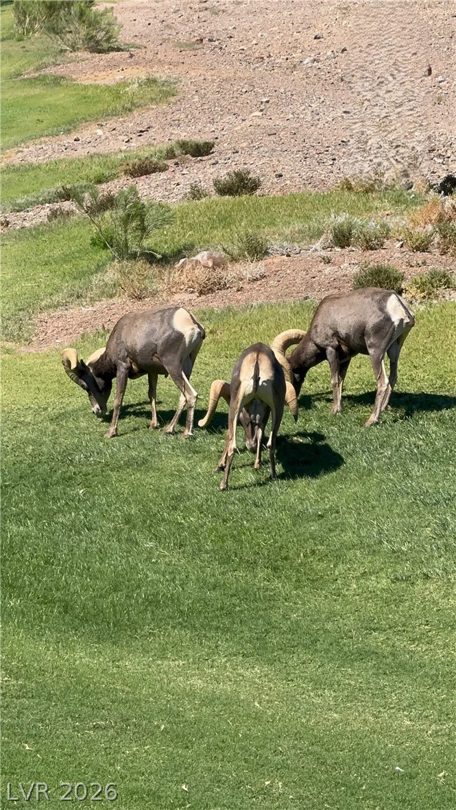 230 Morgyn, Boulder City, NV 89005