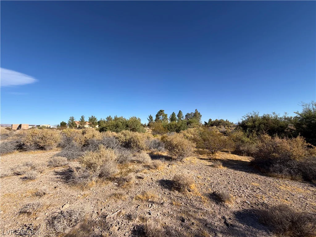 6090 H S, Pahrump, NV 89061