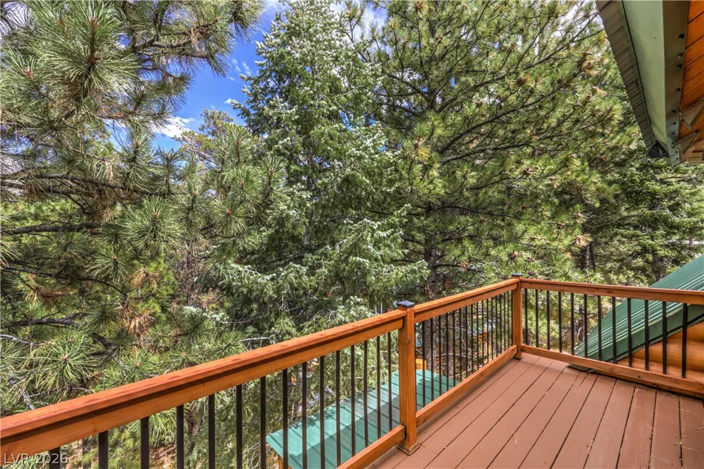 322 Ski Trail, Mount Charleston, NV 89124