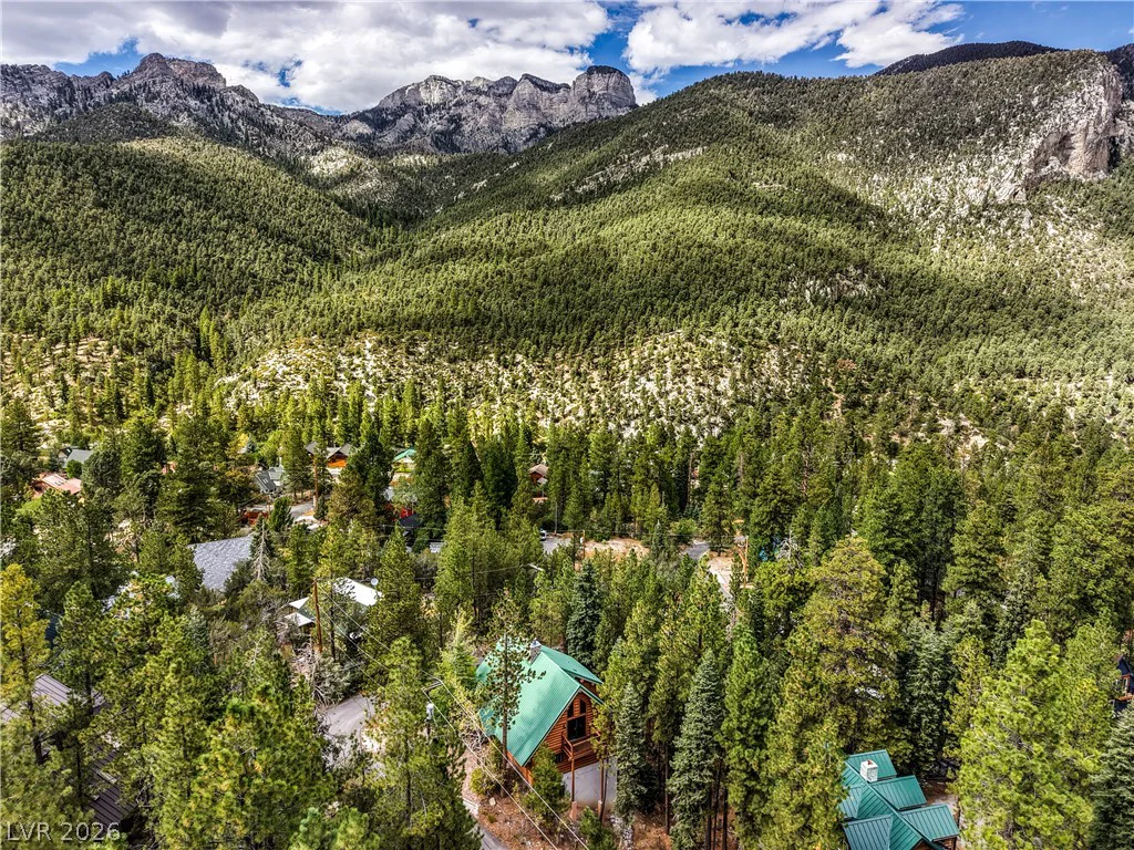 322 Ski Trail, Mount Charleston, NV 89124