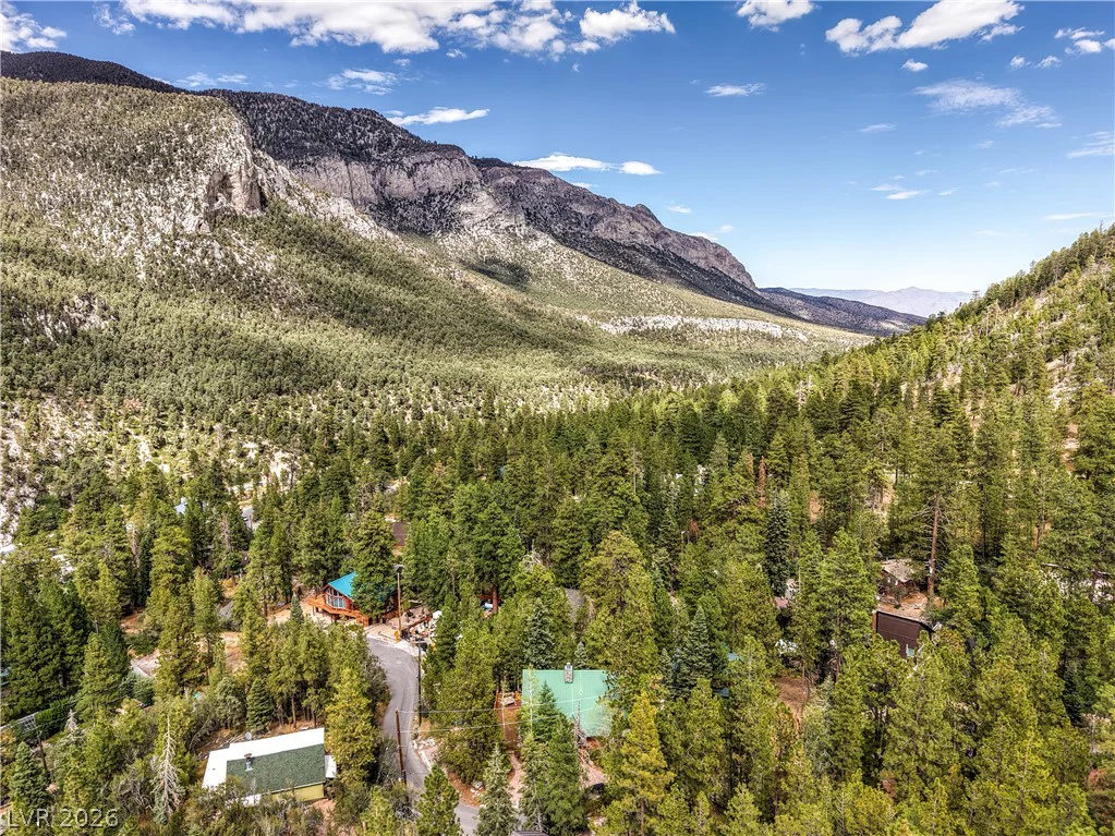 322 Ski Trail, Mount Charleston, NV 89124