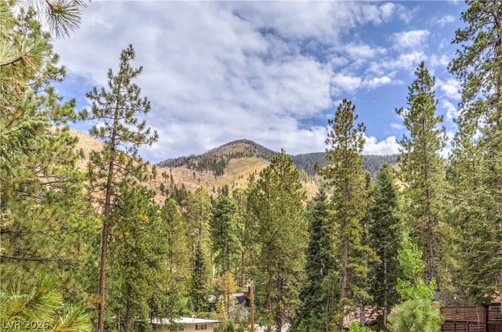 322 Ski Trail, Mount Charleston, NV 89124