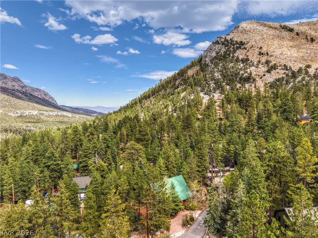 322 Ski Trail, Mount Charleston, NV 89124