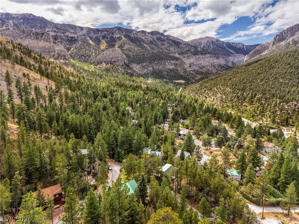 322 Ski Trail, Mount Charleston, NV 89124