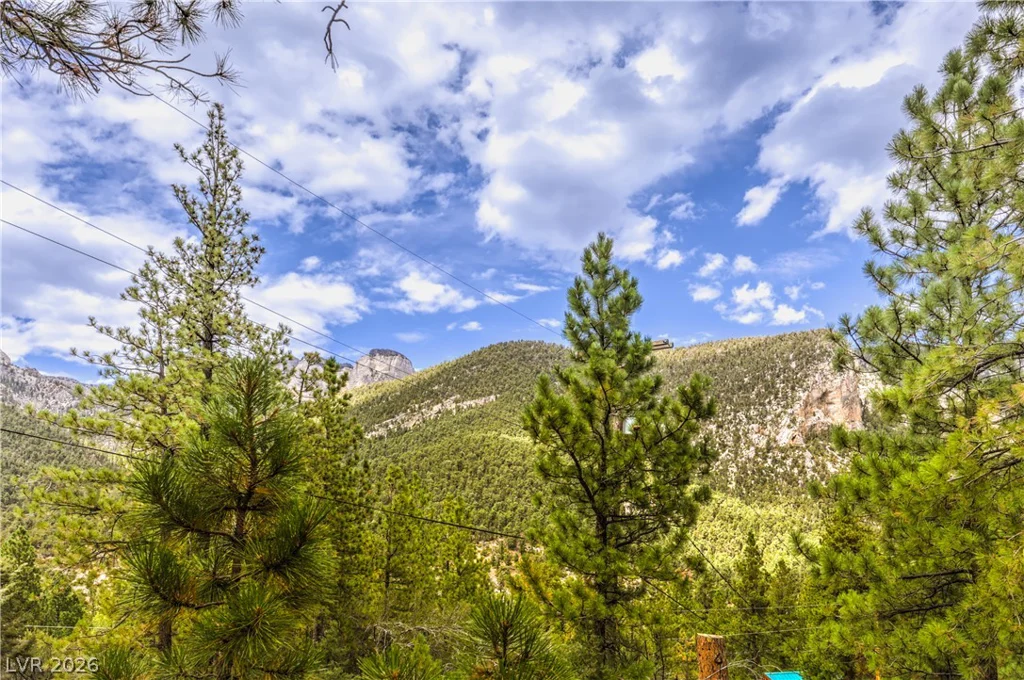 322 Ski Trail, Mount Charleston, NV 89124