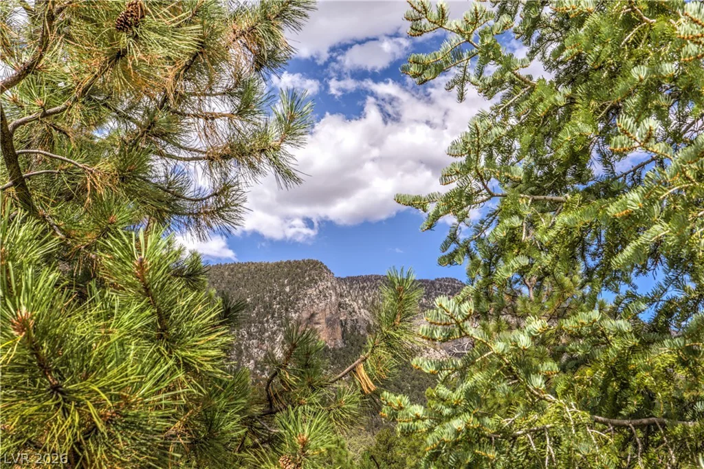322 Ski Trail, Mount Charleston, NV 89124