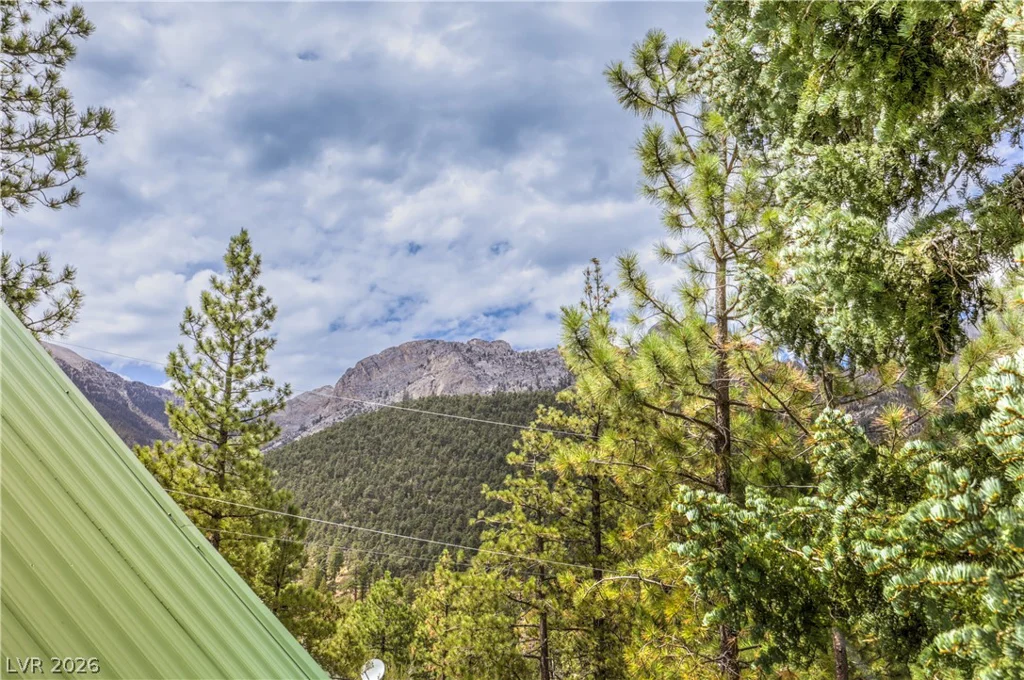322 Ski Trail, Mount Charleston, NV 89124