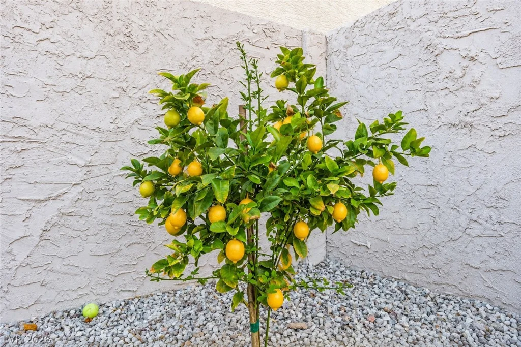 2433 Cliffwood, Henderson, NV 89074