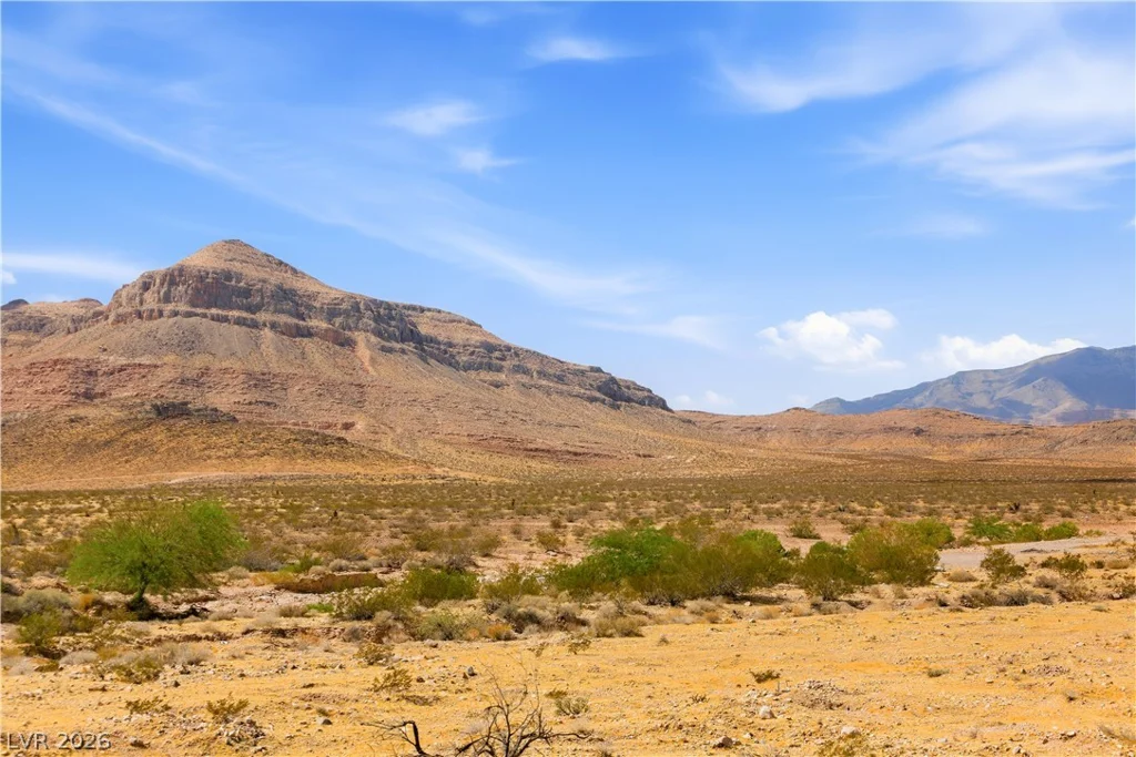10593 Giant Cardon, Las Vegas, NV 89179