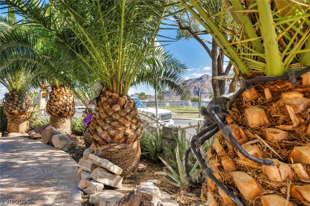 1111 Christy, Las Vegas, NV 89110