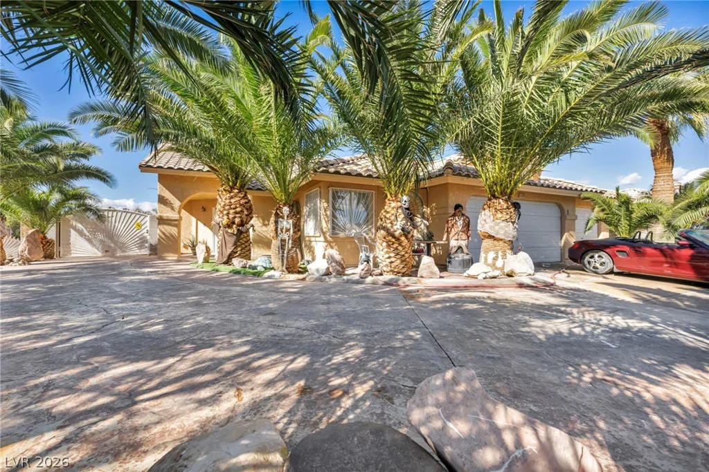1111 Christy, Las Vegas, NV 89110
