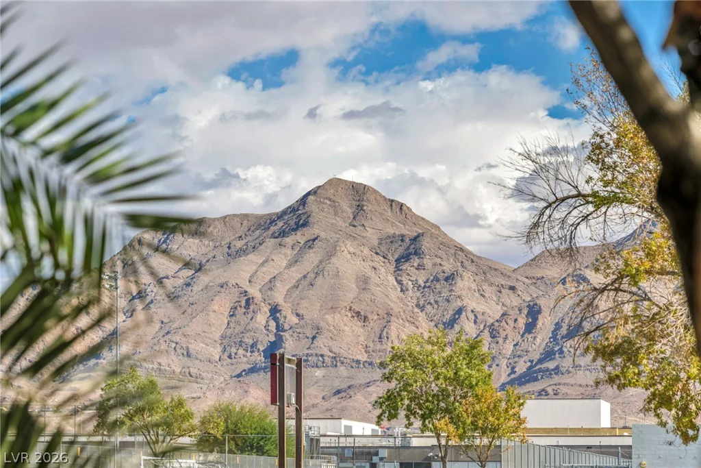 1111 Christy, Las Vegas, NV 89110
