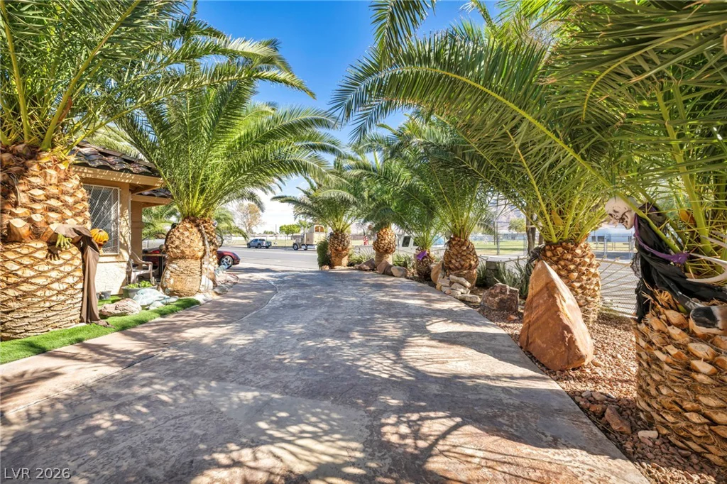 1111 Christy, Las Vegas, NV 89110