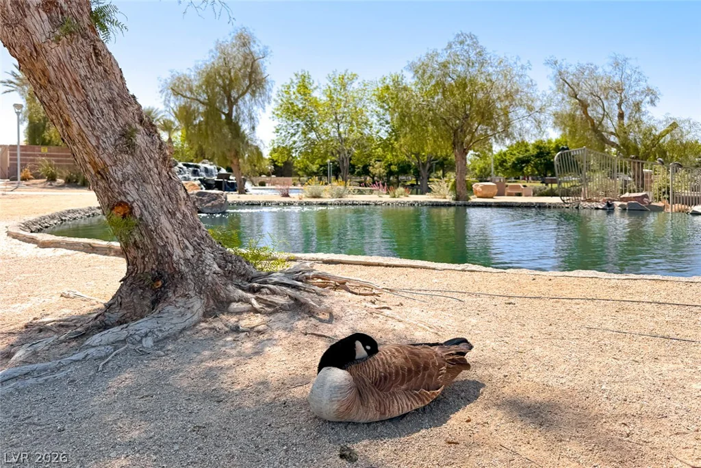 2906 Pumpkin Harvest, North Las Vegas, NV 89031