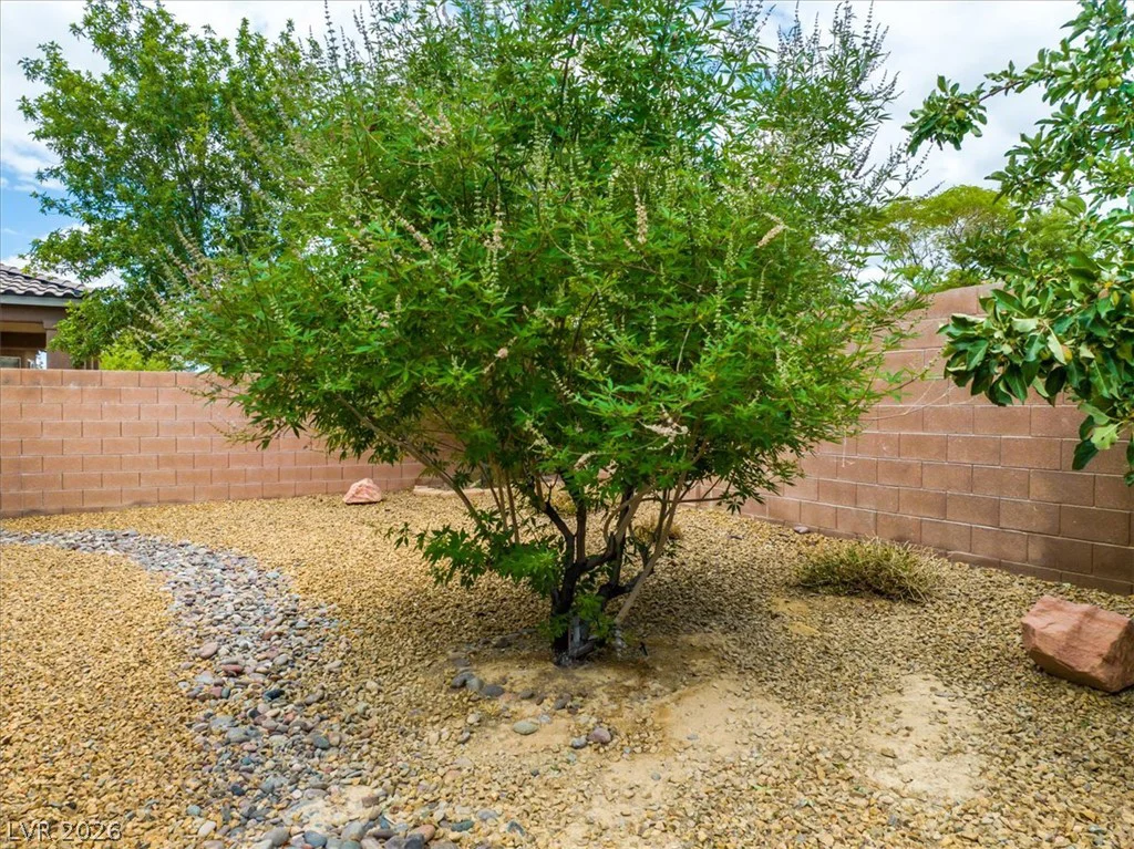 4725 Santa Fiora, Pahrump, NV 89061