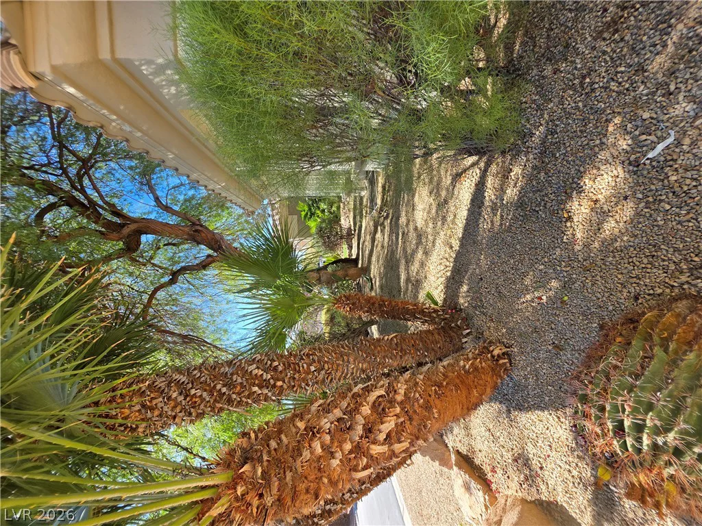 7430 Bisonwood, Las Vegas, NV 89131