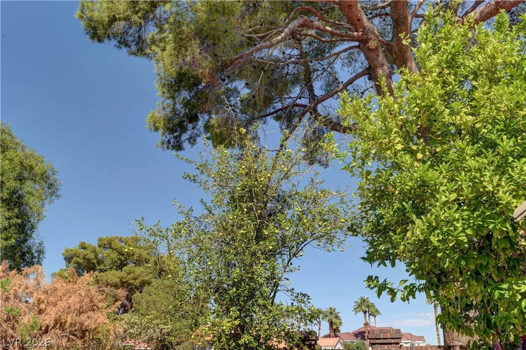 3380 Camino Gardens, Las Vegas, NV 89146
