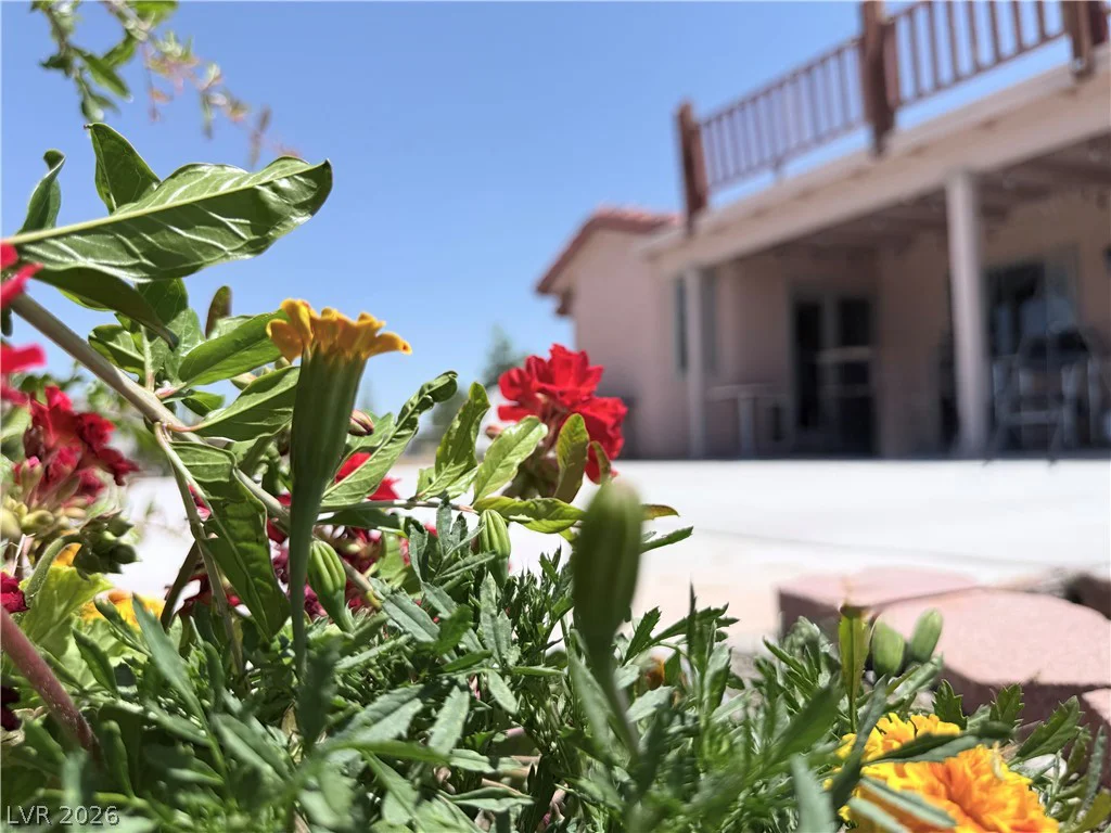 1220 Gamebird, Pahrump, NV 89048