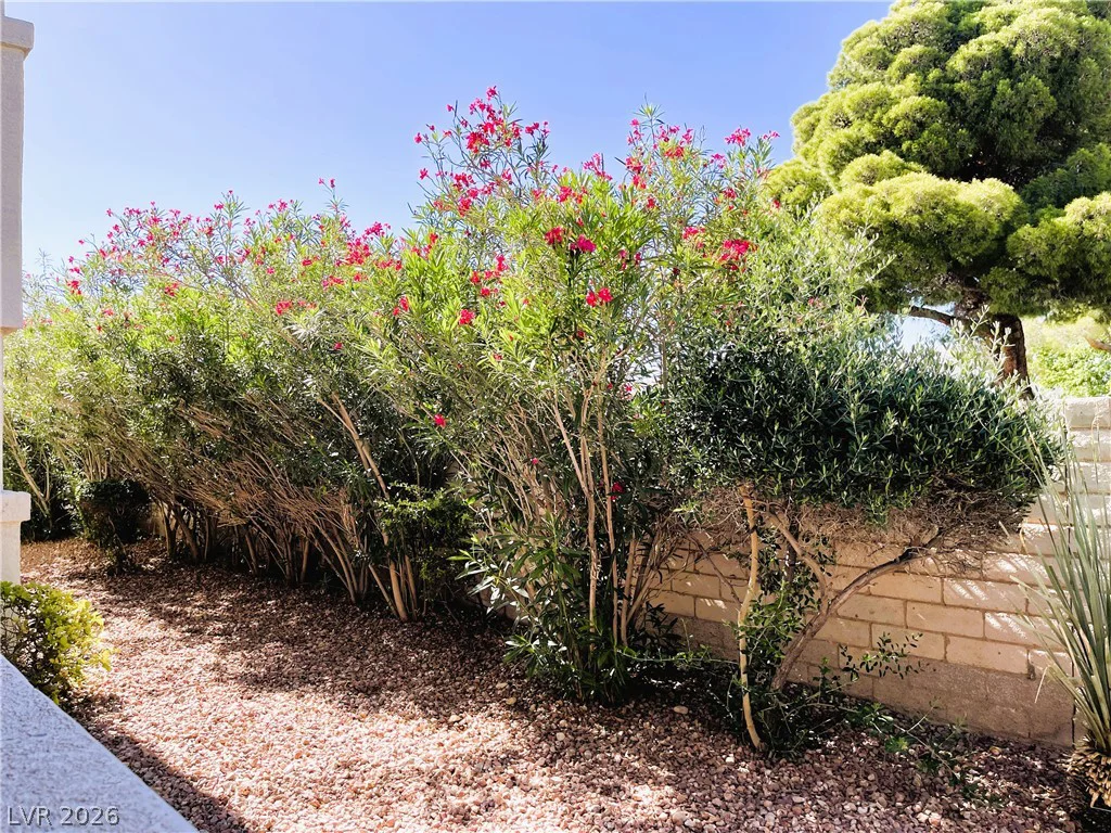 6820 San Ricardo, Las Vegas, NV 89146
