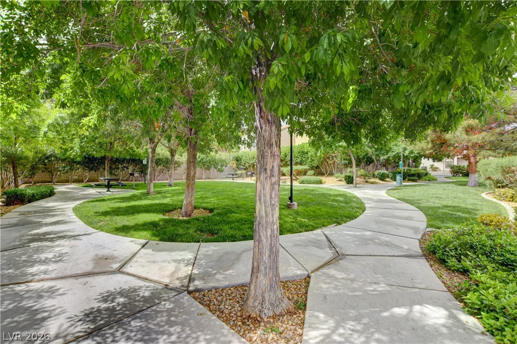 8950 Spring Peeper, Las Vegas, NV 89148