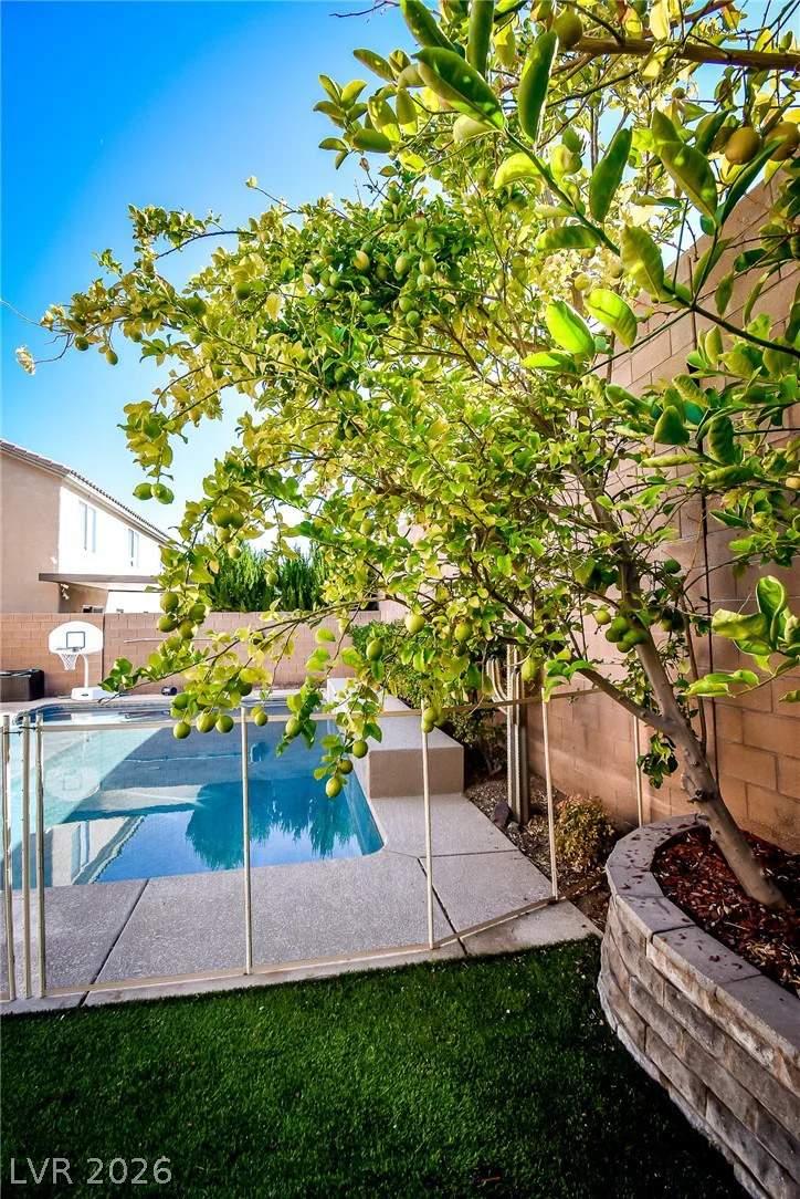 169 Cobalt Sky, Henderson, NV 89002